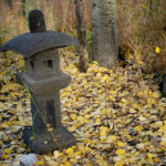 Pagoda, autumn aspen leaves,